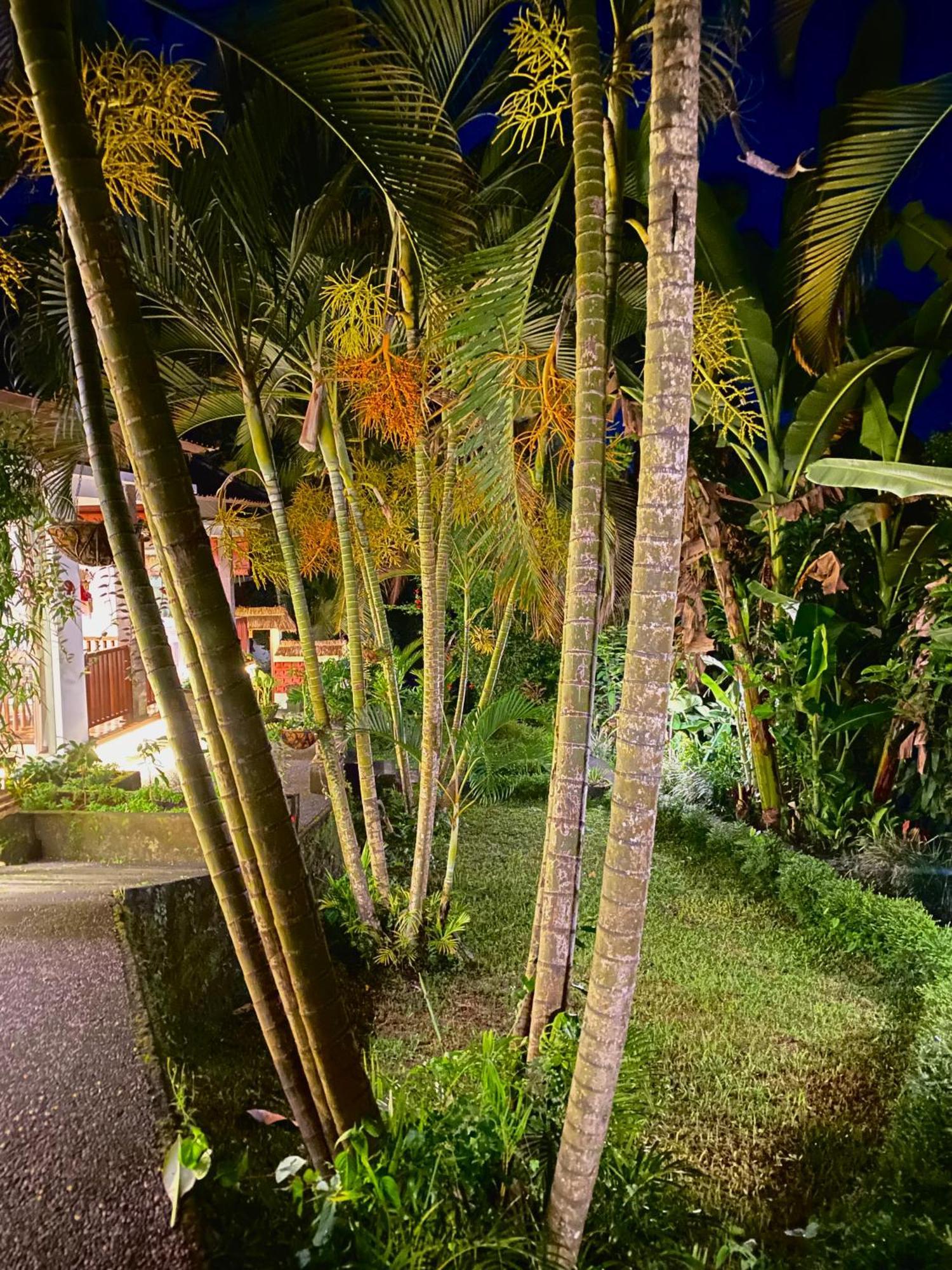 Ardan Maison Ubud Eksteriør bilde
